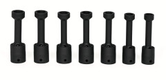 307RIPLMS