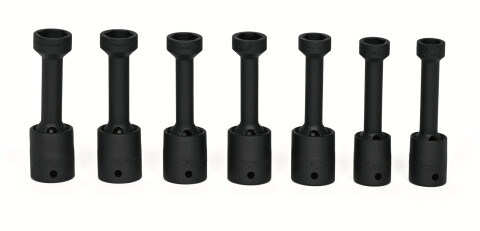 307RIPLMS