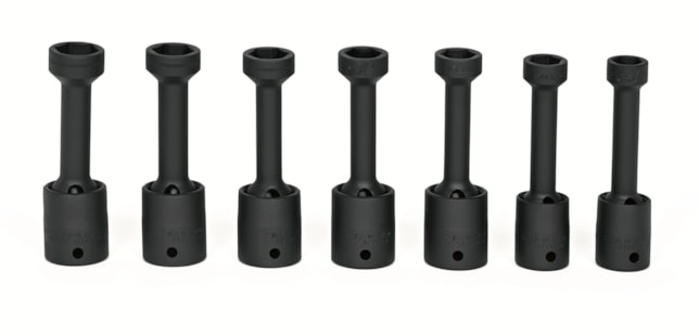 307RIPLMS