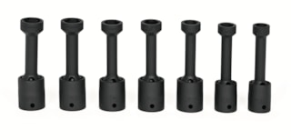 307RIPLMS