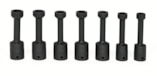 307RIPLMS